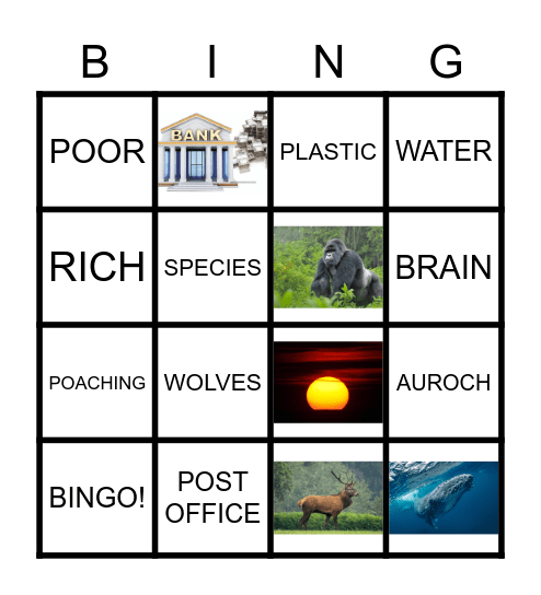 TRIVIA IQ Bingo Card