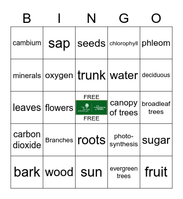 Trees Bingo Card