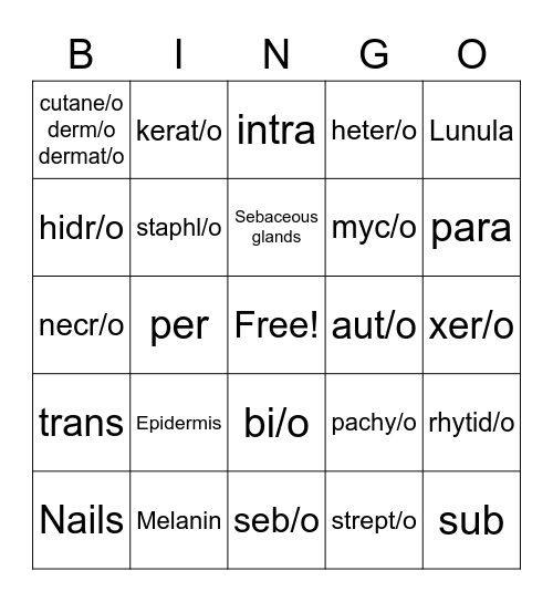 Chapter 4 Bingo Card