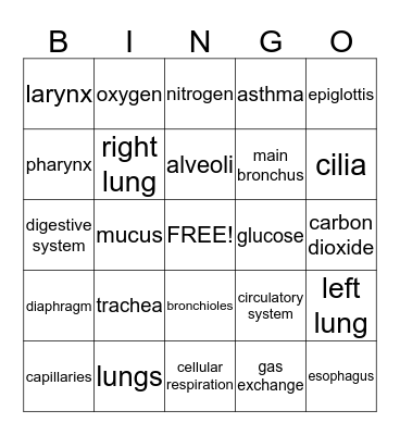Respiratory System Bingo Card