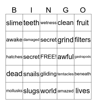 The Secret Live of Snails and Slugs Bingo Card