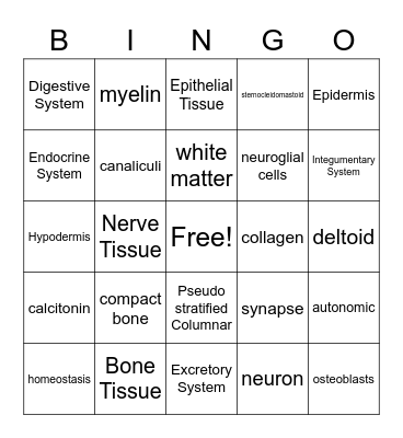 Anatomy Midterm Exam Review Bingo Card