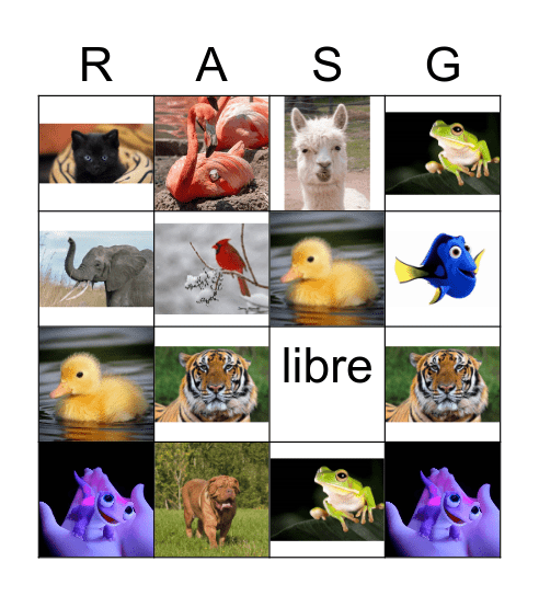 Animales Bingo Card