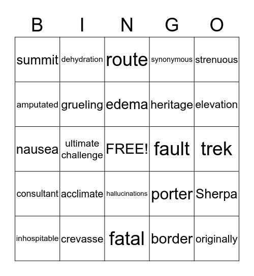 Mount Everest Bingo Card