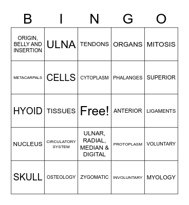 ANATOMY Bingo Card
