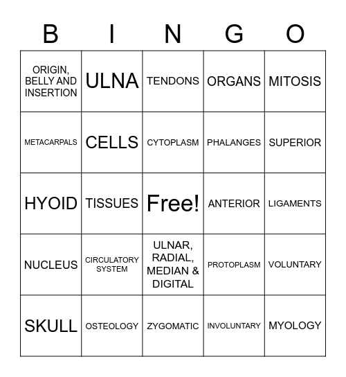 ANATOMY Bingo Card