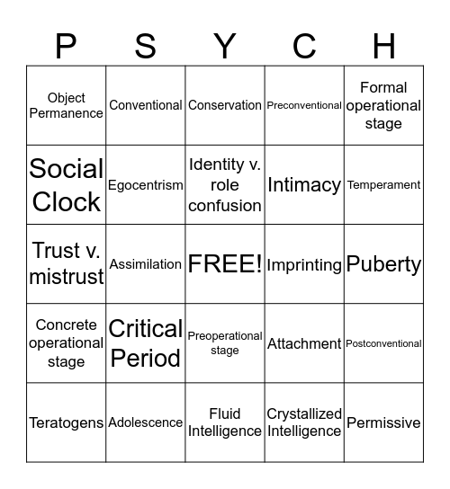 Developmental Psychology Bingo Card