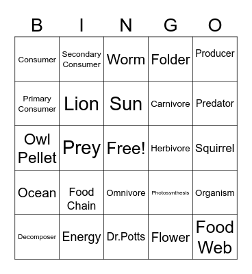 Bear Day Bingo (Food Chain) Bingo Card