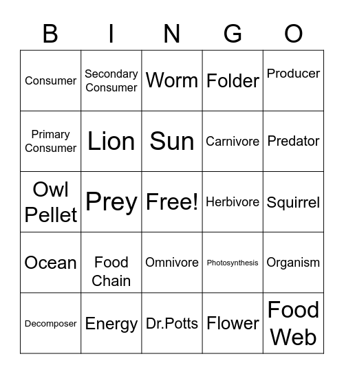 Bear Day Bingo (Food Chain) Bingo Card