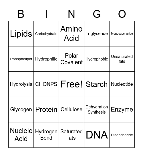 Macromolecules Bingo Card