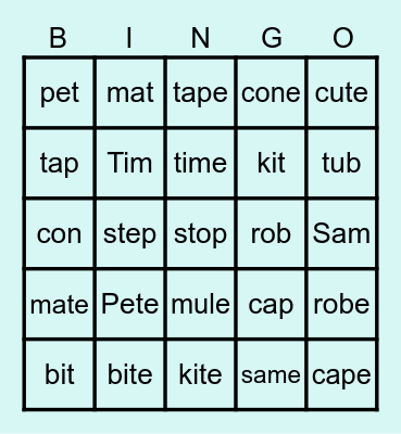 closed  and   vce syllable types Bingo Card