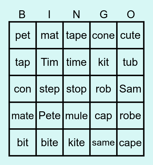 closed  and   vce syllable types Bingo Card