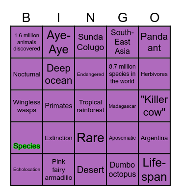 ~Weird Animals ~ Bingo Card