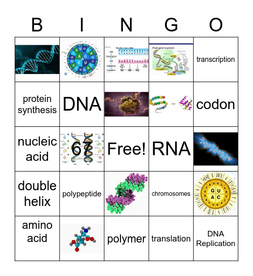 DNA Replication Bingo Card