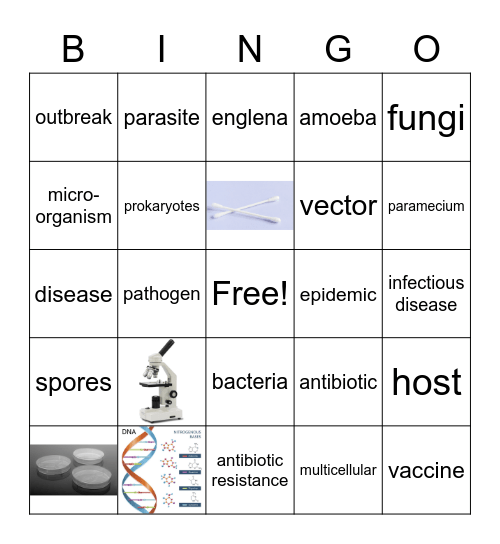 Microbiology   Bingo Card