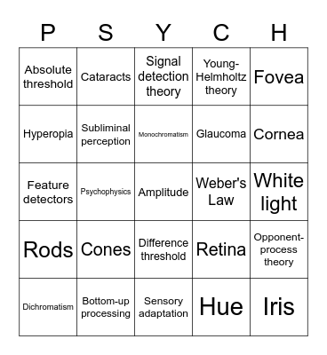 Sensation 1 Bingo Card