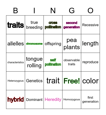 Genetics Bingo Card