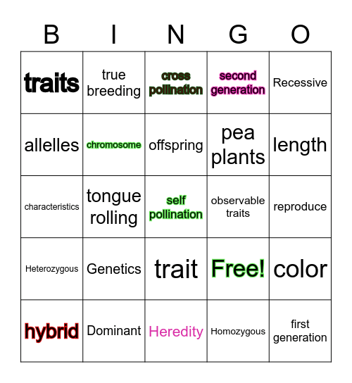 Genetics Bingo Card