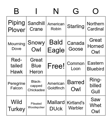 Michigan Birds Bingo Card