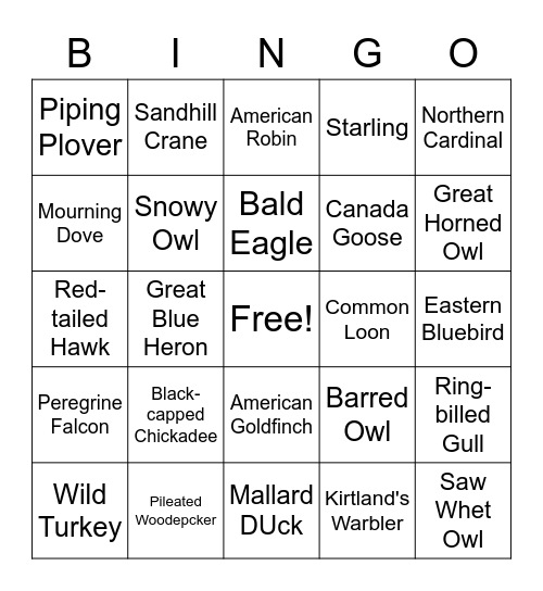 Michigan Birds Bingo Card