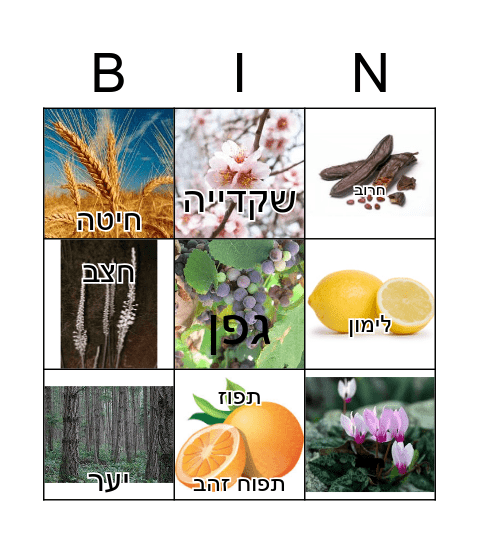 בינגו Bingo Card