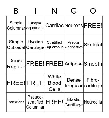Tissue Matching Bingo Answer Key Bingo Card