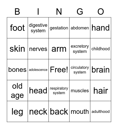 The Human Body Bingo Card