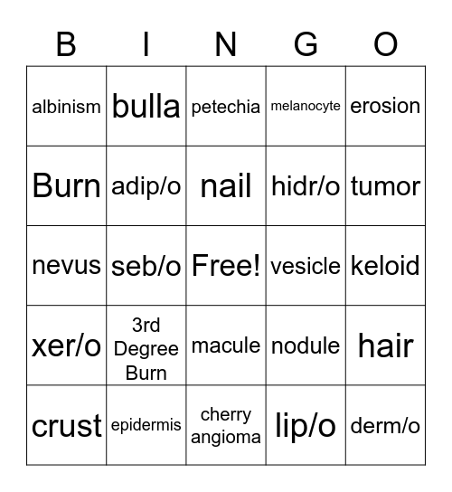 Chapter 2 Bingo Card