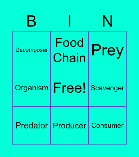 Food Chains Bingo Card