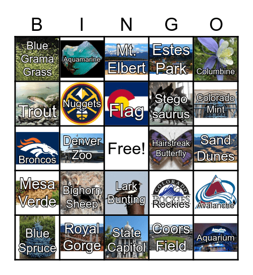 Colorado Bingo Card