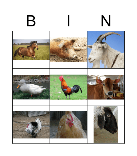 Farm Animals Bingo Card