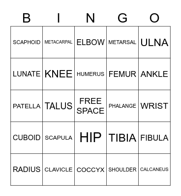 ORTHO BINGO Card