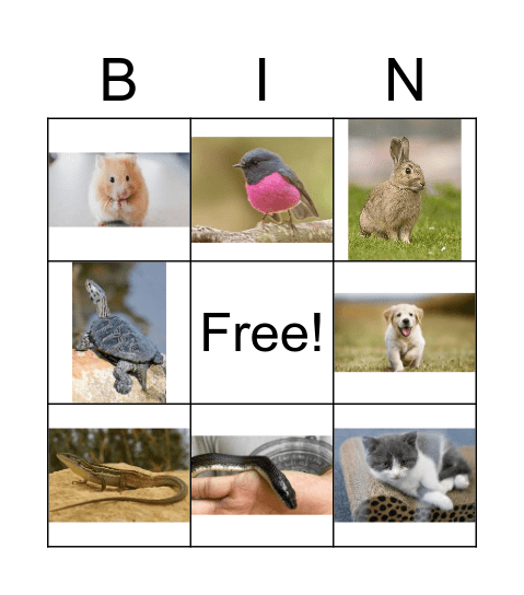 Las mascotas Bingo Card