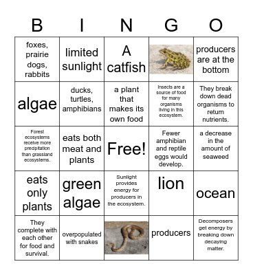 Science Review Bingo Card