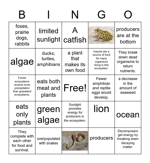 Science Review Bingo Card