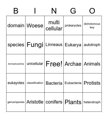 Classification Bingo Card
