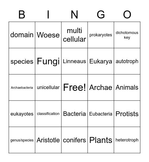 Classification Bingo Card