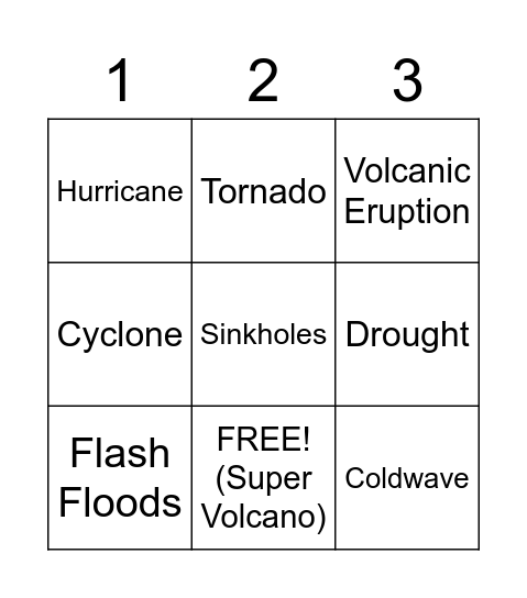 Natural Disaster Bingo Card