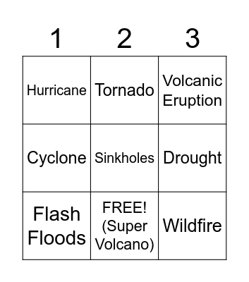 Natural Disaster Bingo Card