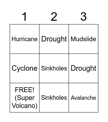 Natural Disaster Bingo Card