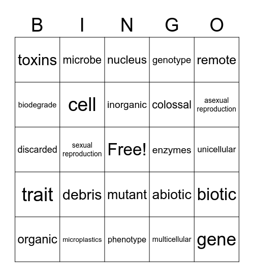 Grade Six Science Padlet Bingo 1 Bingo Card