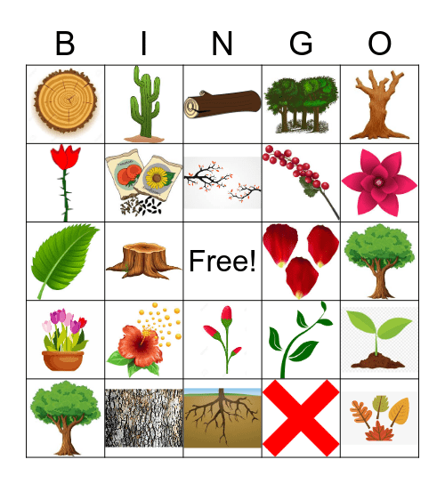 plant-vocabulary-bingo-card