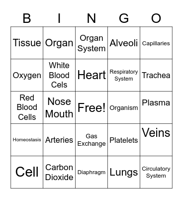 Circulatory and Respiratory Systems Bingo Card