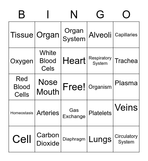 Circulatory and Respiratory Systems Bingo Card
