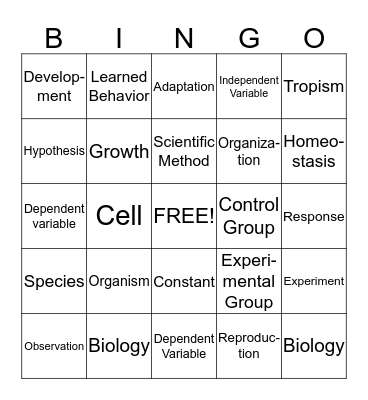 Chapter 1 Review Bingo Card