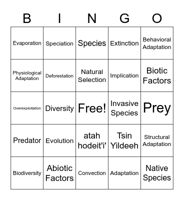 February Bingo Card