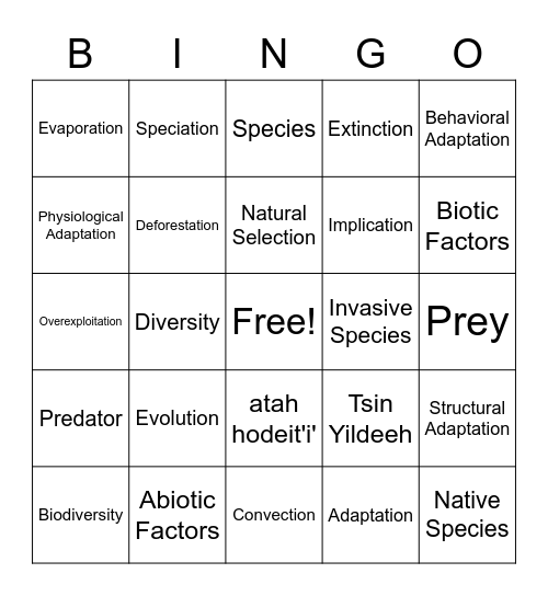 February Bingo Card