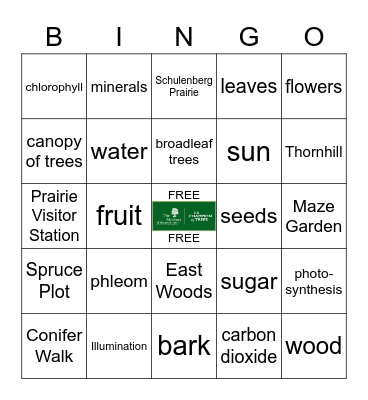 Trees Bingo Card