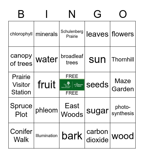 Trees Bingo Card