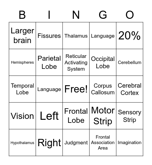 Chapter 3 Bingo Card